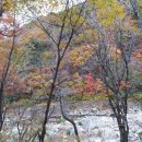 원주시노인종합복지관 이미지