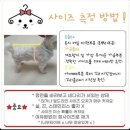 방울씨네