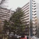 삼익그린맨션아파트 이미지