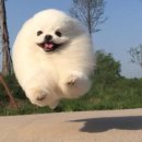 아주클린(CLEAN) 이미지