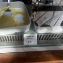 1962 | [후기] 카페 1962, 아늑한 공간