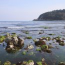 공곶이해변 이미지