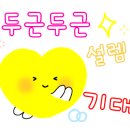 펌킨 펫하우스 서울숲 이미지