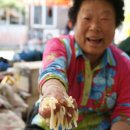 화천