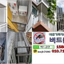 비둘기빌라