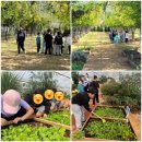 튜울립지역아동센터 이미지