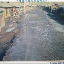 어룡목장 이미지