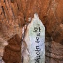 개멍물멍 이미지