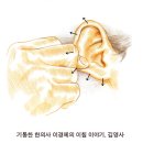 한방선생