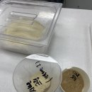 홍상기 | 베이킹 아카데미 사계 비즈니스 클래스 후기