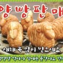 대관령양빵양빵양빵 이미지