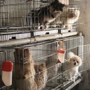 중사지농장 이미지