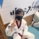 수주태권도장 이미지