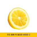비타민치과 네이버블로그