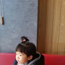 국수나무함안점