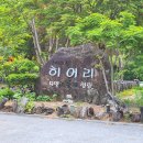 히어리마켓 | 복층 펜션부터 글램핑까지 다 있는 영월 히어리 펜션 내돈내산 후기