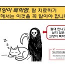키움 동물병원 이미지