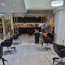 모트헤어 이미지