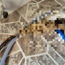 사림로-2 이미지