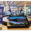 에어파크 김포공항주차대행 믿고 맡길 수 있는 김포공항주차대항 서비스