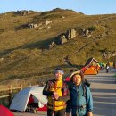 영남비니루 이미지