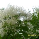 진도상설시장 이미지