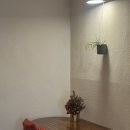 무등 | 함평 겨울빛축제, 월산동 무등 후기