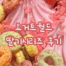 요거트월드전주 - 완주군 기지로 56 | 요거트월드 딸기 아이스크림 후기 :: 딸기시즌 생딸기 시리즈 설향딸기 요거트아이스크림