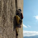 온세미로 이미지