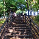 다문화센터 앞 횡단보도 이미지