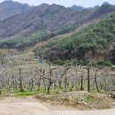 용연리마을회관 이미지