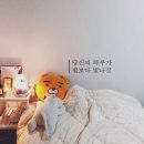 [경험담] 중소기업 청년 전세자금 대출(80%) 1억 후기_1탄