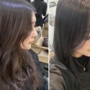 스텔라헤어 이미지