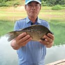 공주-32 이미지