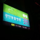 광안동물병원 이미지