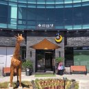 우리반상시월 | 김천 혁신도시 한정식 [우리반상시월] 건강 돌솥밥 내돈내산 후기