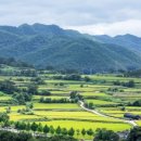 행복한베이커리 이미지