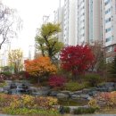 정도조경