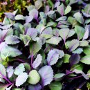 충남농약사 이미지