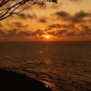 웨이브파크 이미지