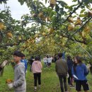 란두리 덕동마을 이미지