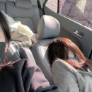 혼저옵서예제주