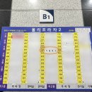 카멜래쉬
