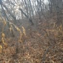 젤미마을6단지 주공아파트 이미지