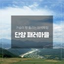 단양패러글라이딩 | 단양패러마을 방문 후기! 단양패러글라이딩 인생뷰 제대로 즐긴 단양이색체험