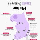 폴바셋대구수성못점