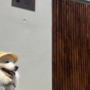 시밀레스테이 이미지