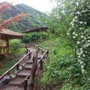 산골초가 이미지