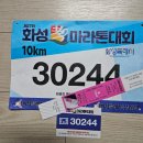 UR(화성시)-대(집)3-3[상리3길]-상-6 | 화성 효마라톤 딸과 함께 뛴 10km 후기 코스, 준비 팁까지 솔직 후기