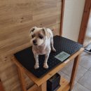 구암동451 이미지